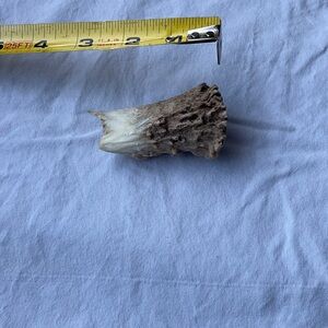 Craft Art Material/Natural Antler Chew Toy